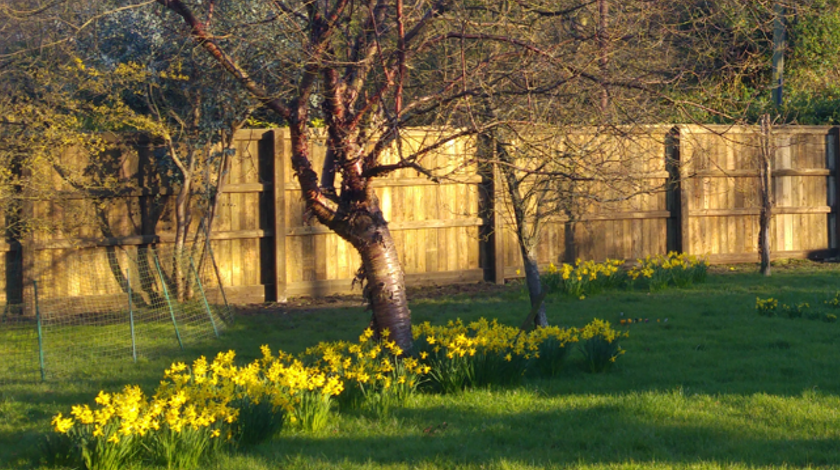 Acoustic Fencing