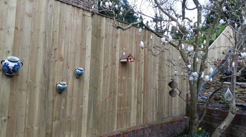 CloseBoard Fencing